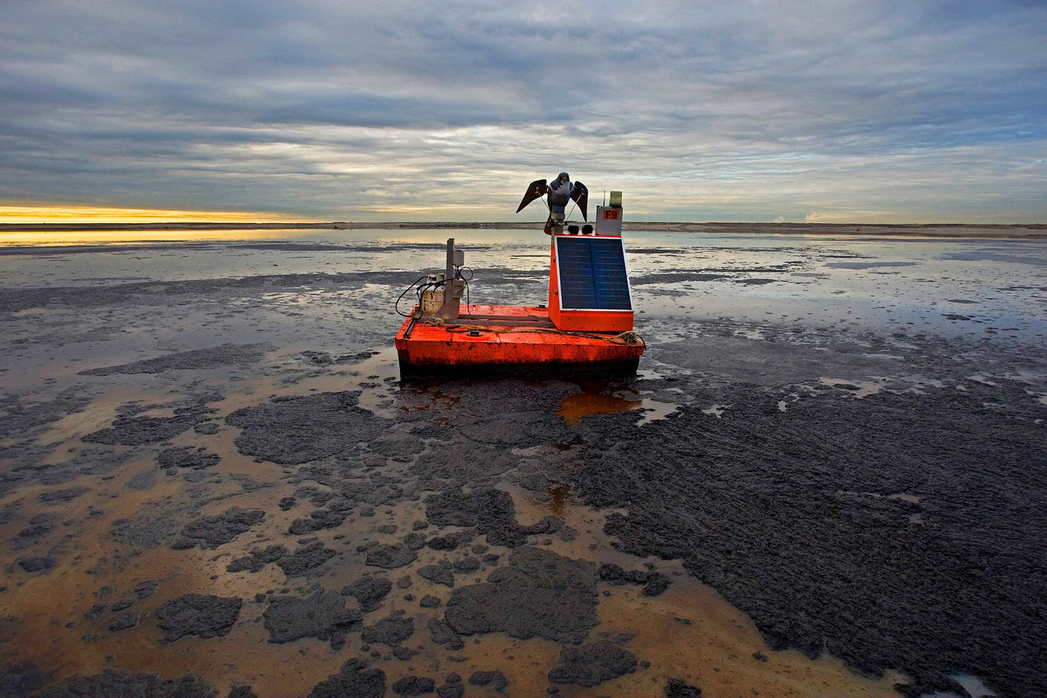 Huff Post UK: Good Environmental News