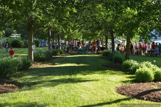 What's New at Summervale?