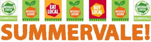 Summervale 2013 Lineup