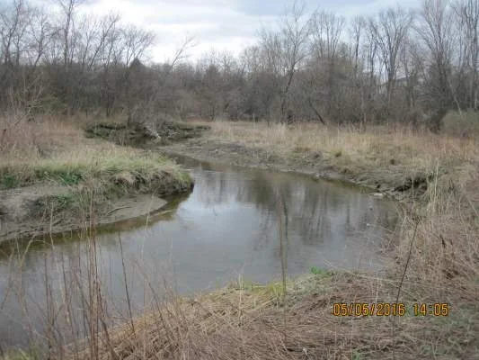 The Allen Brook in Williston, VT with newly planted trees forming a riparian buffer