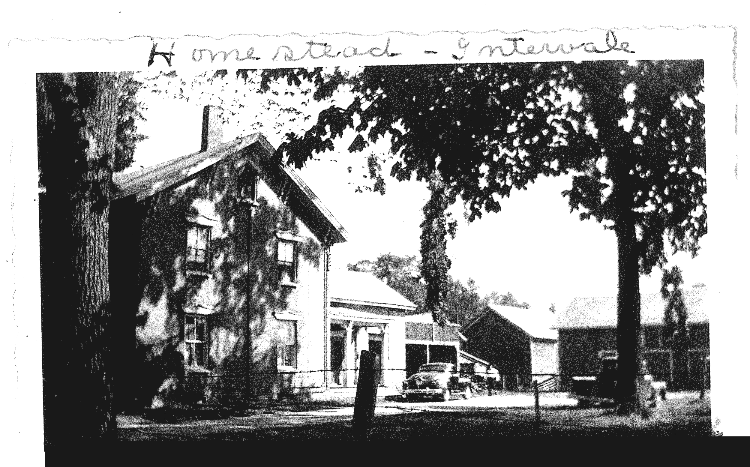 Photo 1.png