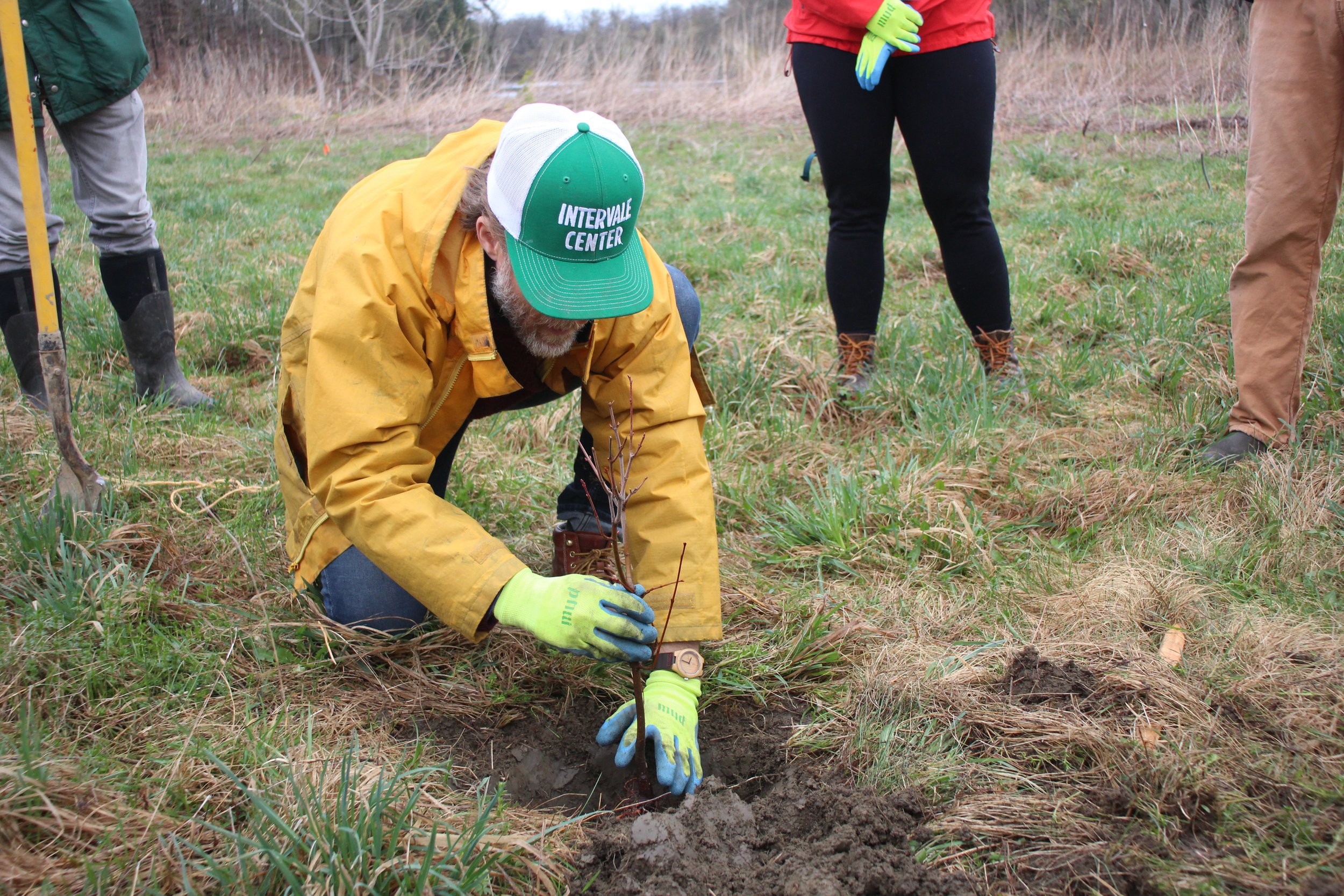 Tree planting kicks off local Earth Month activities (Copy)