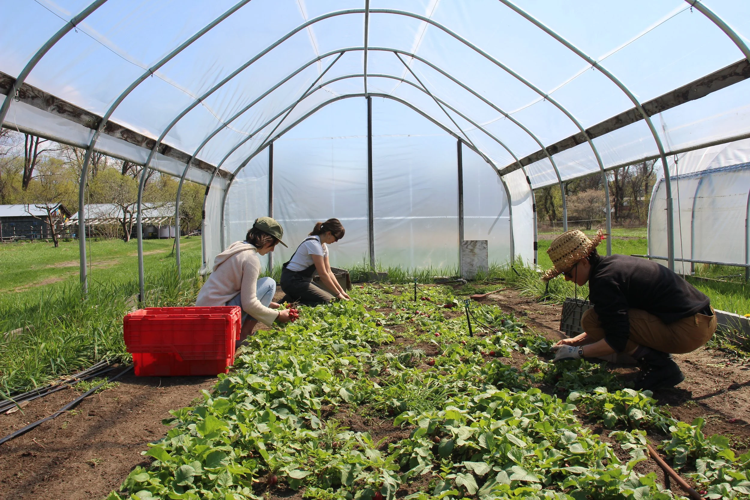 Increasing access to local food in Vermont