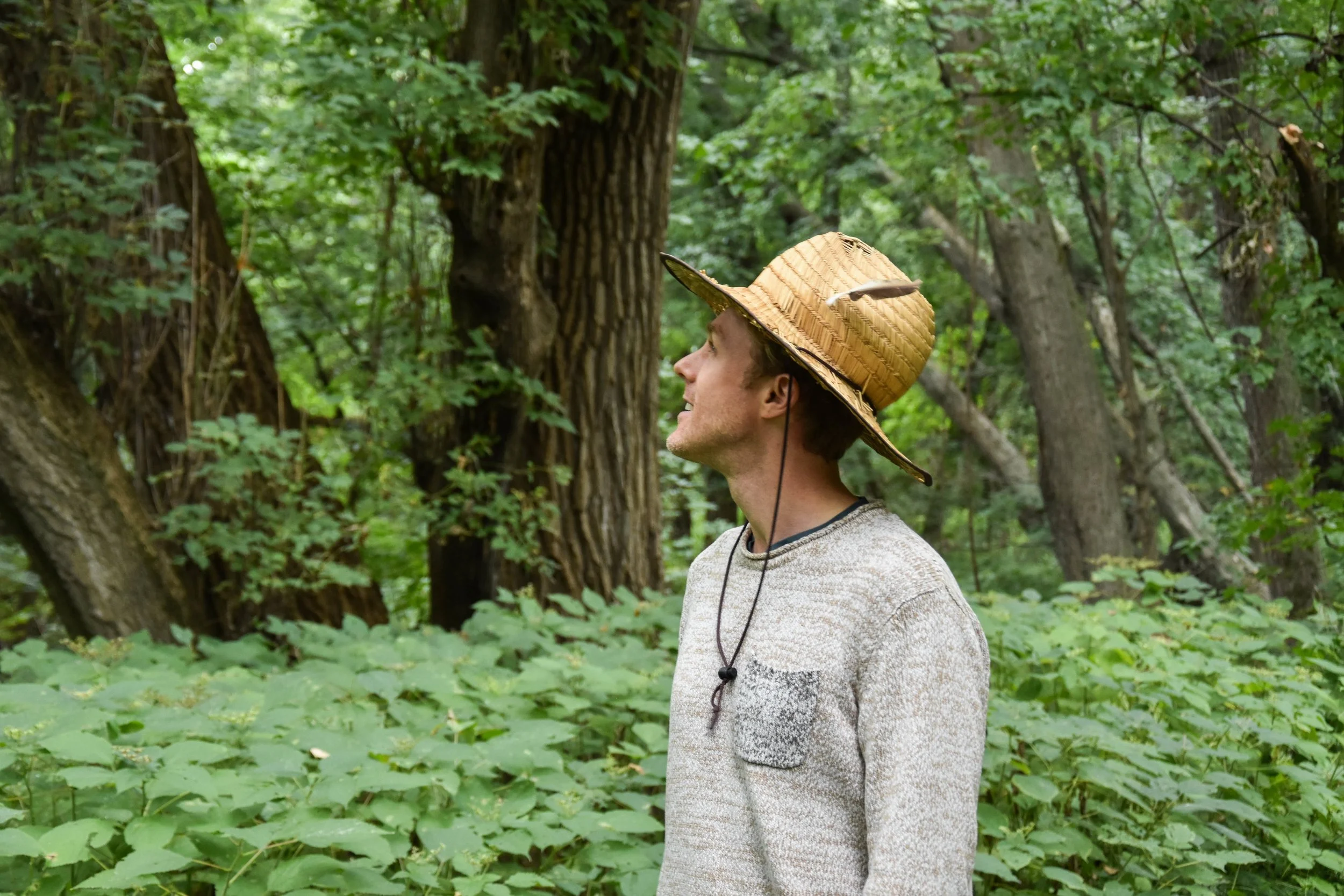 land stewardship.jpeg