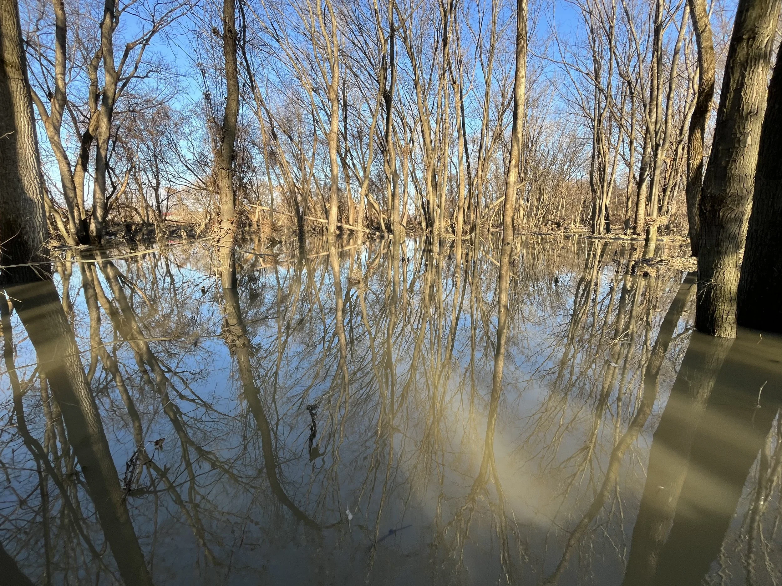 Press Release: December flooding in the Intervale