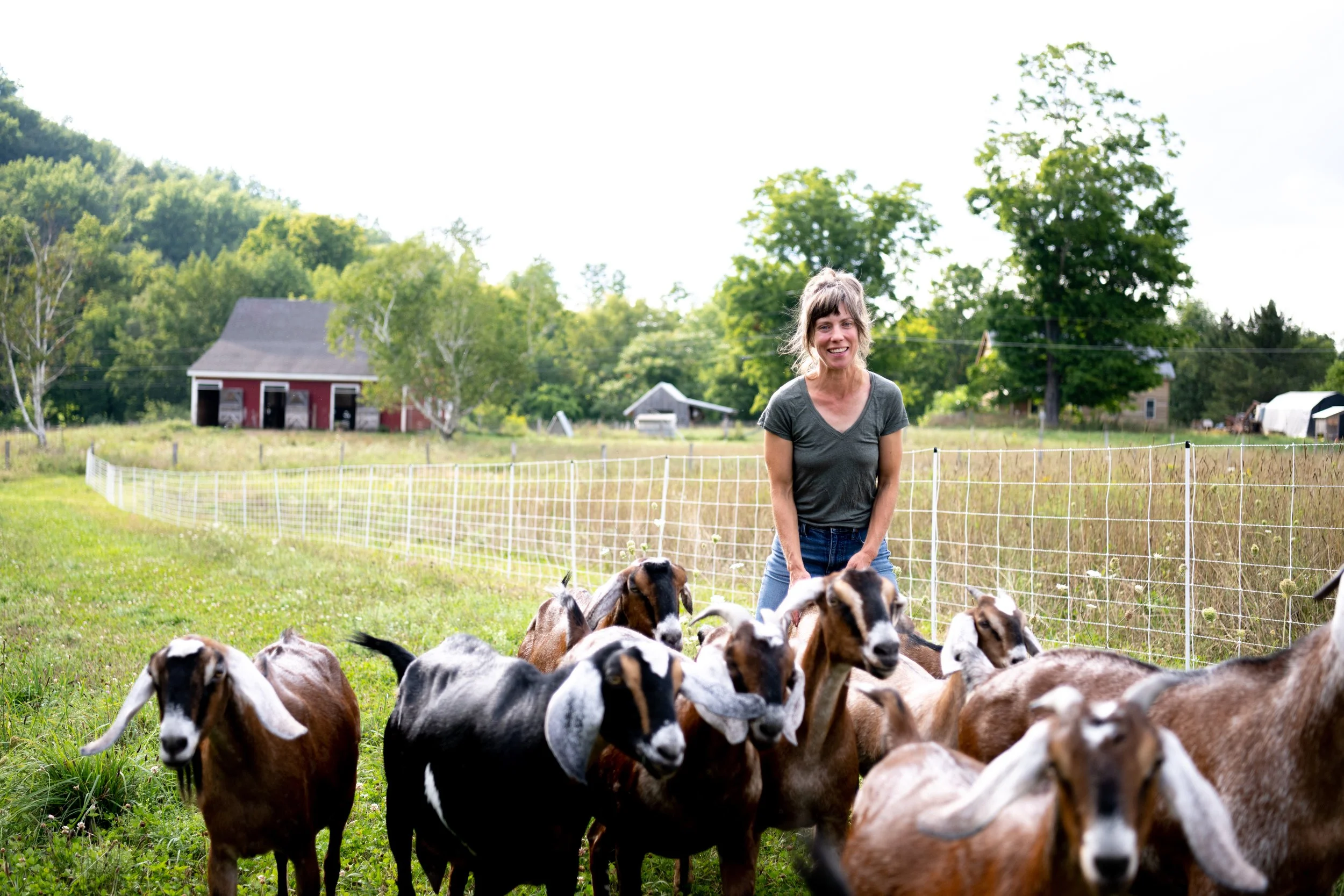 Growing The Goat Project in Bennington, Vermont