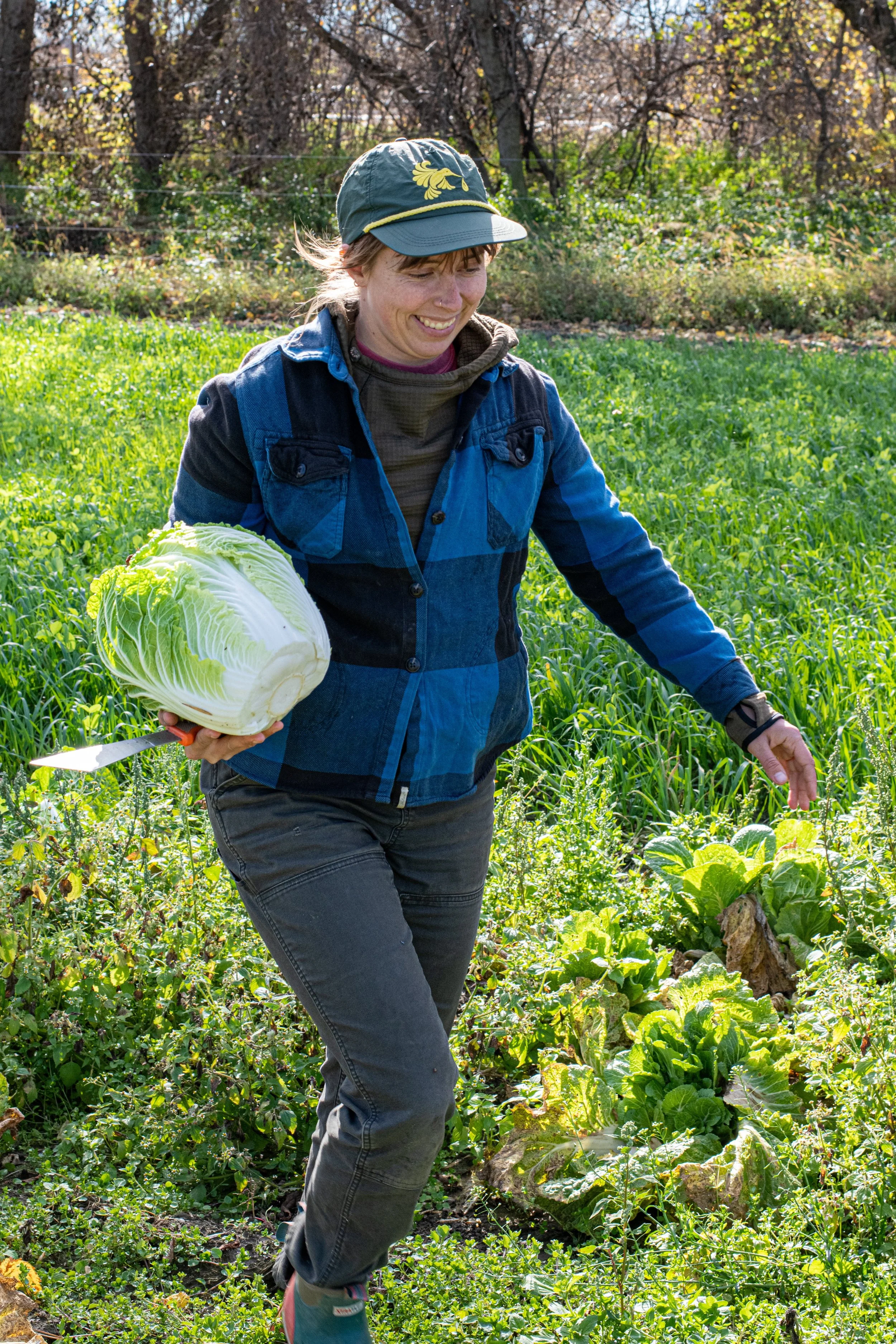 Looking Back on Five Years of Food Access