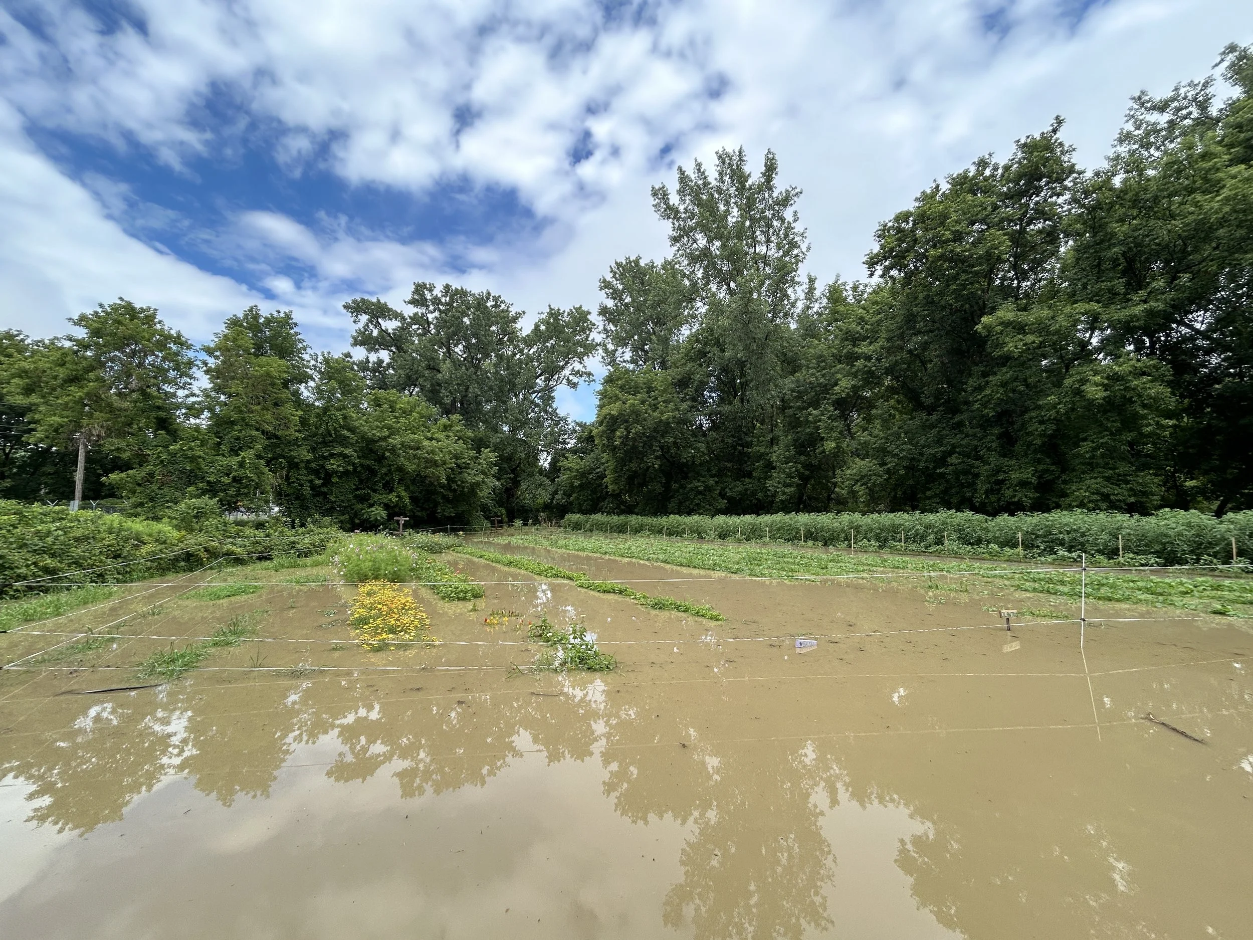 Press Release: July 2024 Flooding in the Intervale