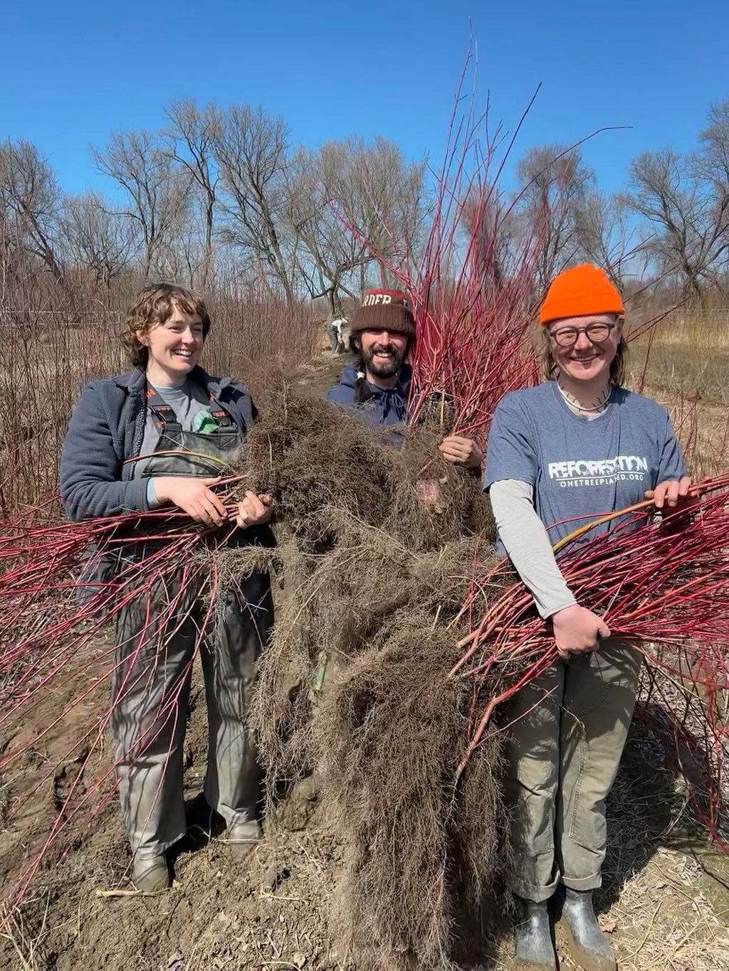 End-of-season tree Sale! Starting now and running through May 28th, all bareroot trees and shrubs over 4&rsquo; tall are 50% off during our end of season sale! Don&rsquo;t miss it &mdash; contact Ben at benr@intervale.org for a copy of our availabili