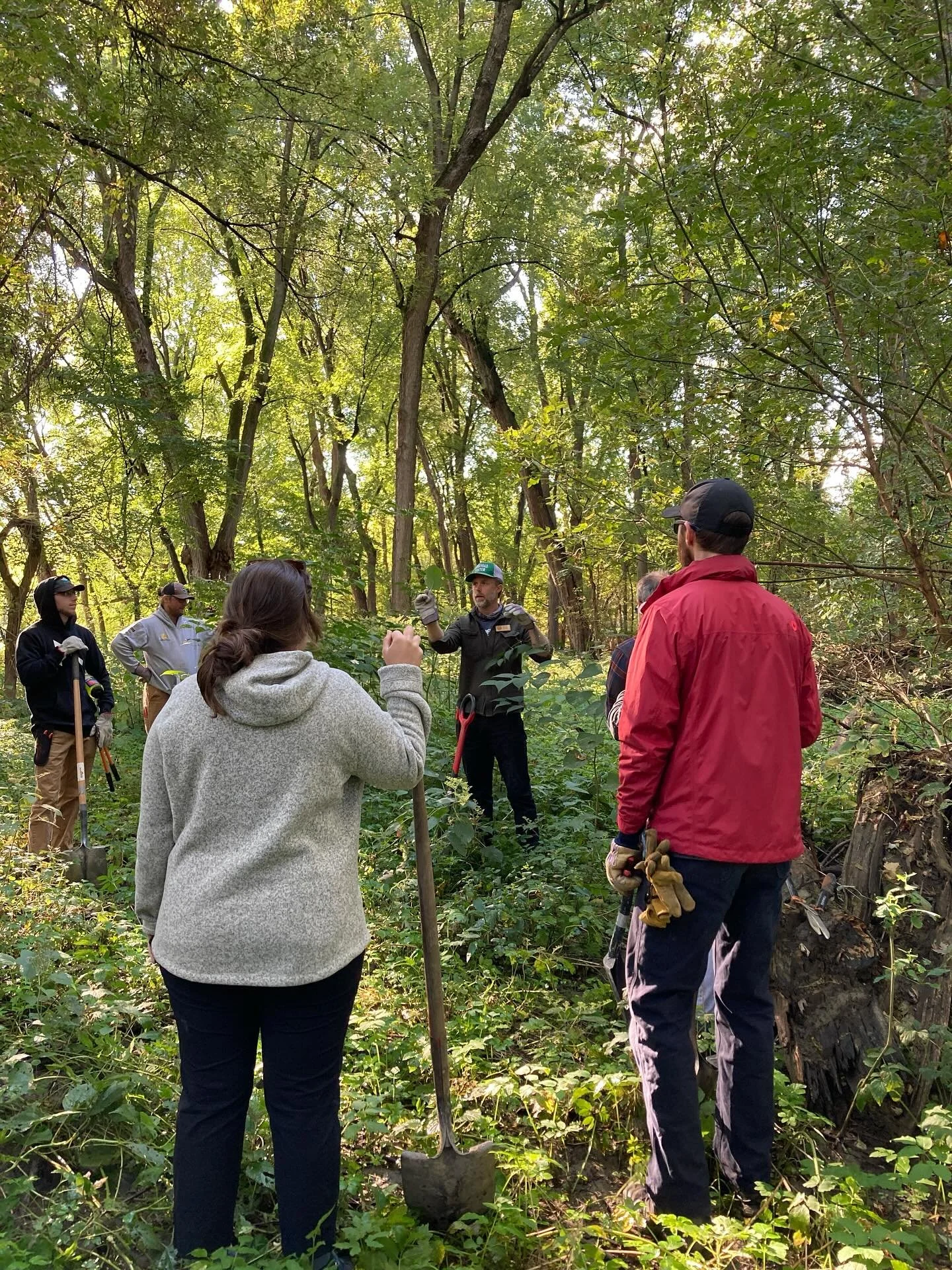 This fall we have some great opportunities to assist our Land Stewardship team with invasive plant removal!

As a volunteer you&rsquo;ll help to remove non-native invasive plants such as buckthorn, garlic mustard, asiatic bittersweet, honeysuckle and