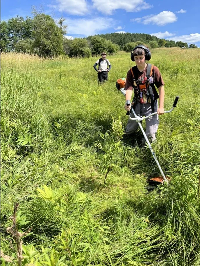 Our Intervale Conservation Nursery is able to provide stewardship services to restoration projects all over the state so that young plants can establish and thrive.

At Anderbell Acres, a 35-acre farm in East Montpelier, VT, Sarah and Elyssa provided