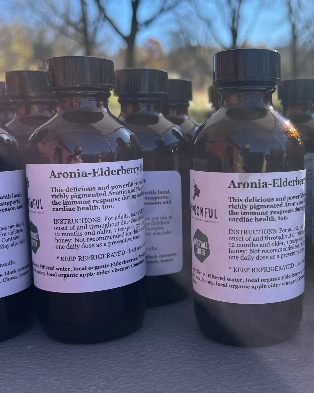 Join the Intervale Center&rsquo;s Land Stewardship team and Spoonful Herbals to transform Aronia and Elderberries harvested  from the Intervale and Rock Point land into a superfood syrup. This syrup will be distributed to the 250 limited income commu