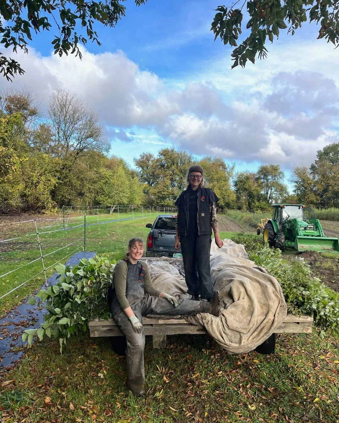 Our fall tree harvest is underway! 

The Intervale Conservation Team has officially begun bareroot harvest for the season. Still need trees or shrubs for your fall restoration project? It&rsquo;s not too late to order&mdash;contact Ben at benr@interv