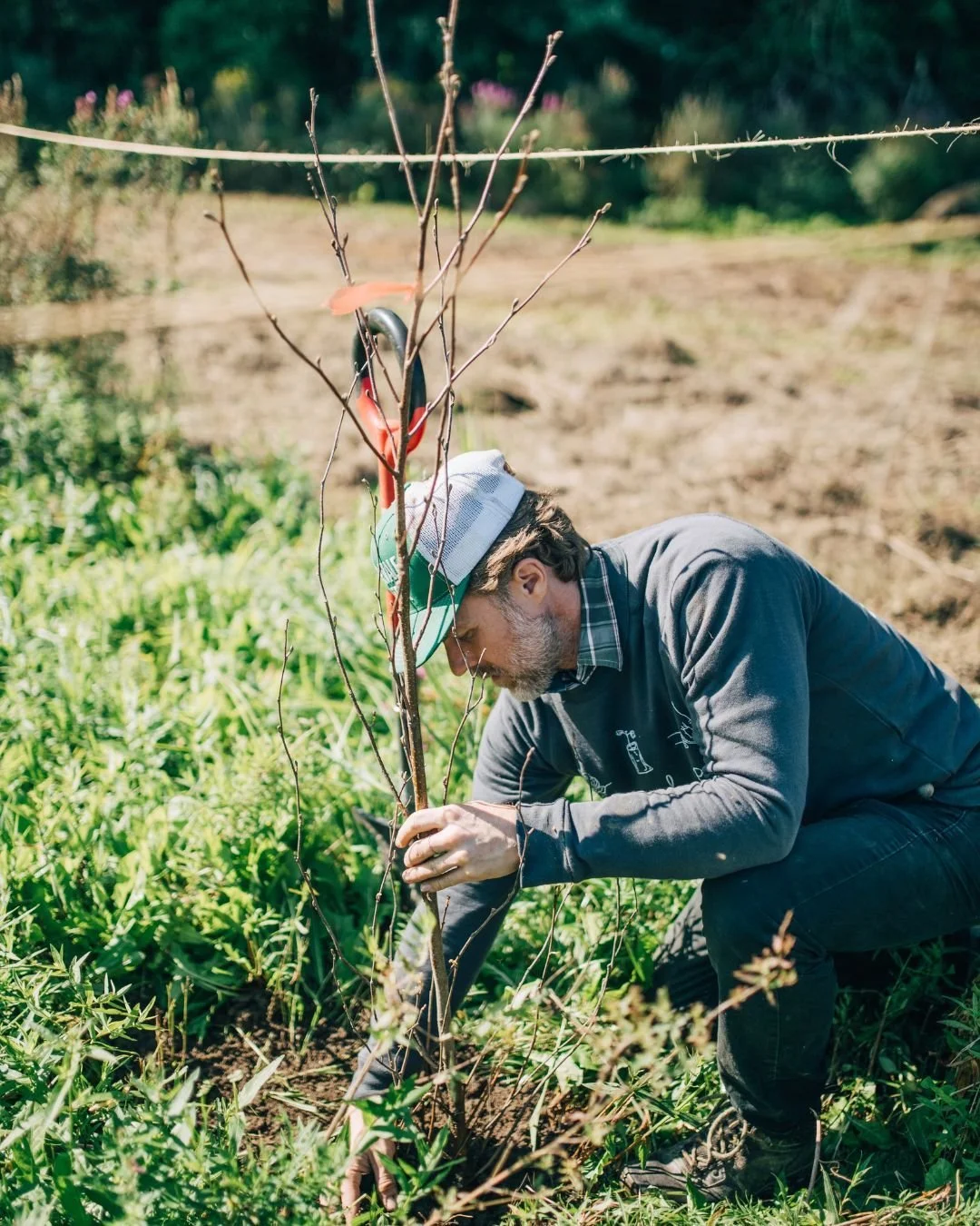 The temperatures may be dropping but we've still got some great opportunities to volunteer with our Land Stewardship team through November!
šInvasive Plant Steward: 
Come help steward the Intervale's forests by manually removing non-native invasive