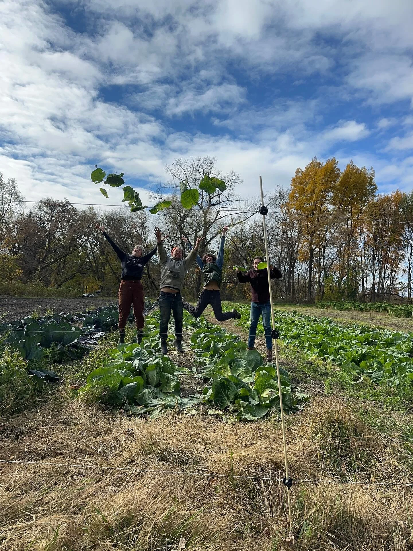 A last cabbage hurrah from the People&rsquo;s Farm!

Our volunteers harvested a final 860lbs of cabbage on Monday closing out the People&rsquo;s Farm season. This year we saw a steep increase in need at our Fair Share free food program. Staff member 