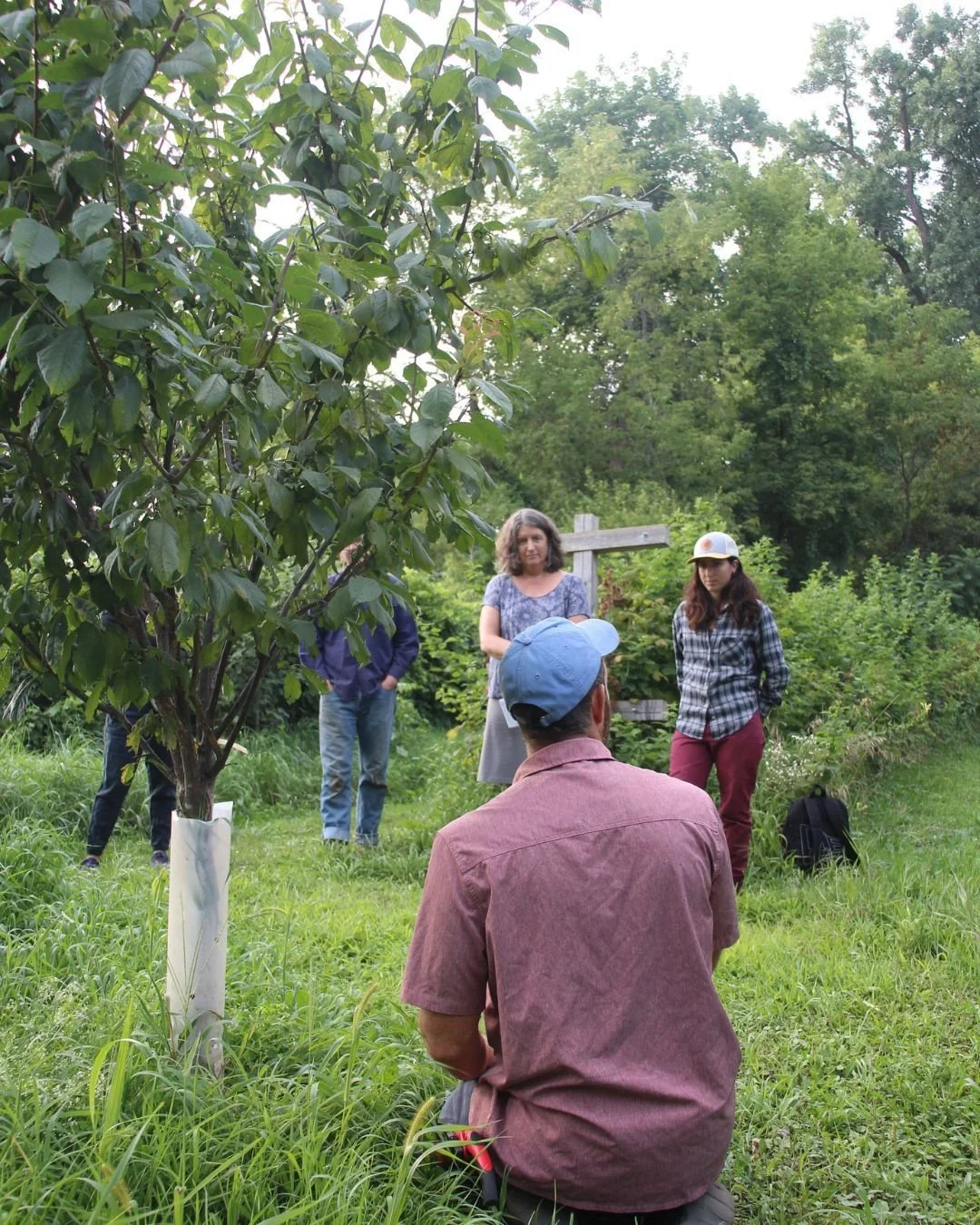 Winter is a great time to prune and care for your fruit trees! 

Join Jacob Holzberg-Pill of Juneberry Landscaping as we visit various 2-4 year old fruit trees (peach, apple, pear, plum,) around the Intervale. This is a free workshop! Learn more and 