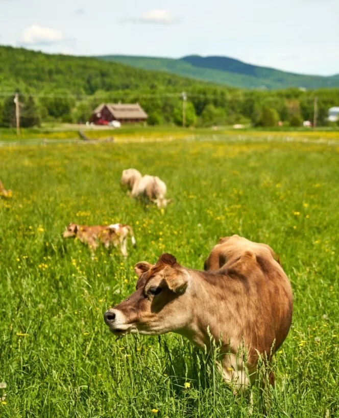 Creating Statewide Impact, Together