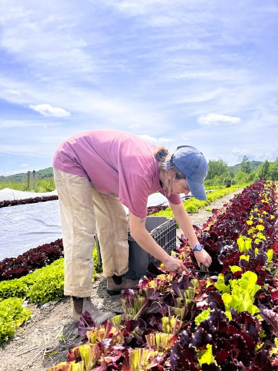 Supporting Access to Fresh, Local Produce 