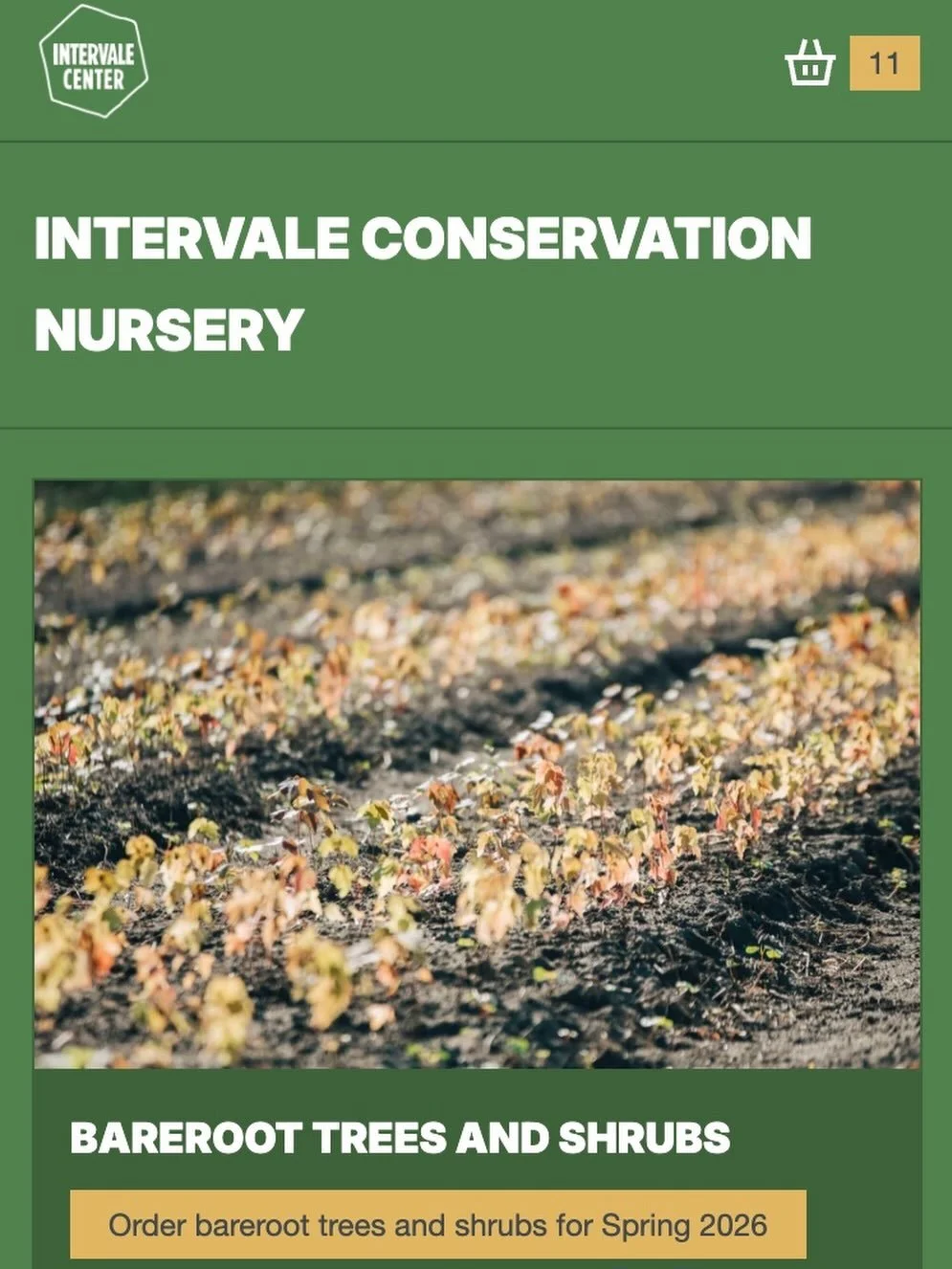 The Intervale Conservation Nursery is now officially open for Spring 2026 bareroot tree and shrub orders!

We&rsquo;re excited to share that ordering will now happen directly through our new online website, where inventory is updated in real time. No