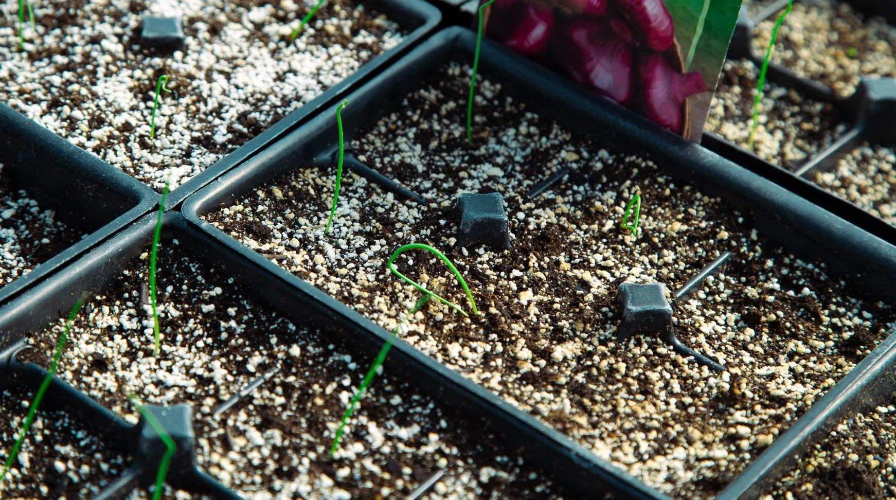 March Newsletter: Signs of Spring at the Intervale Center