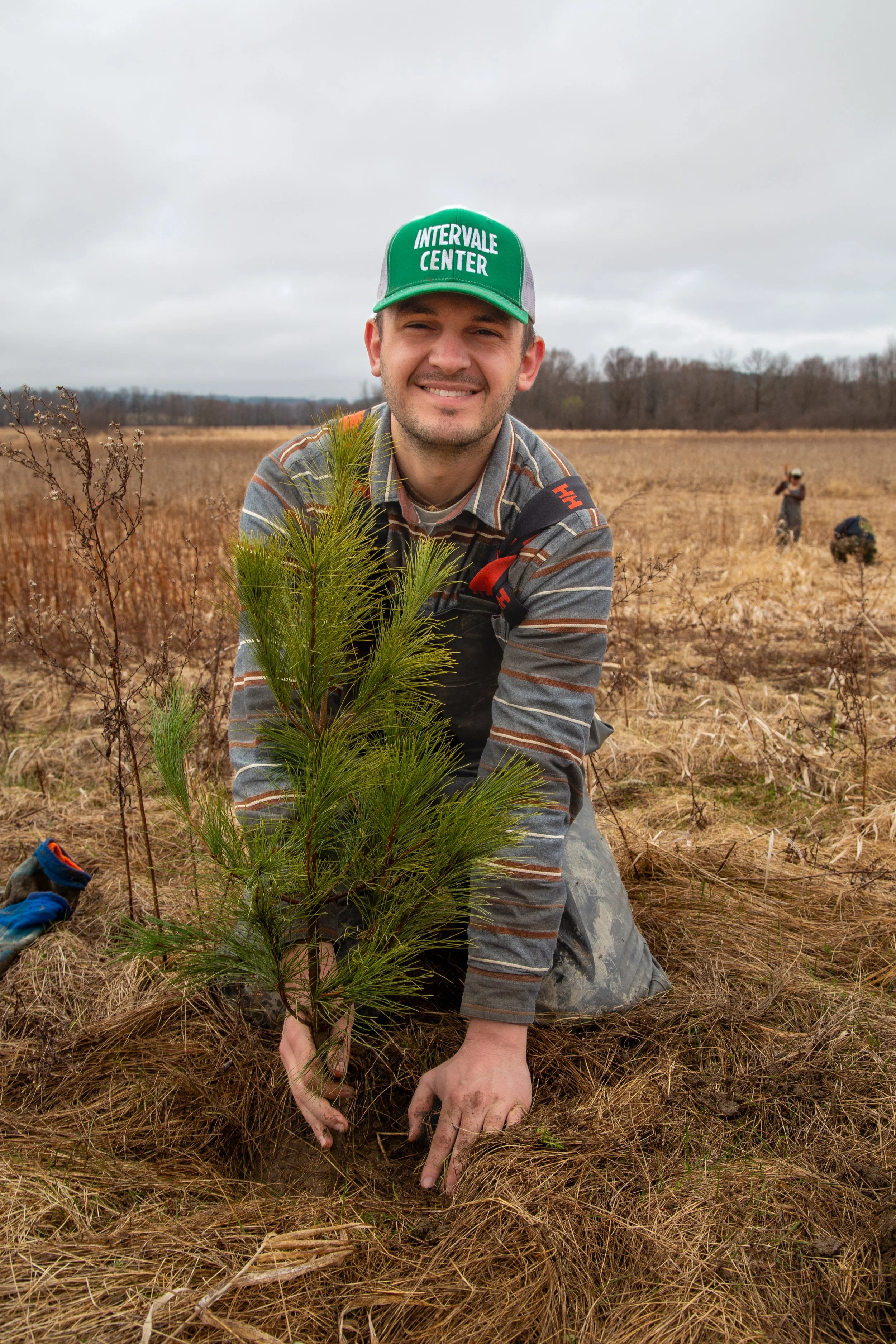 Arbor Day 2026