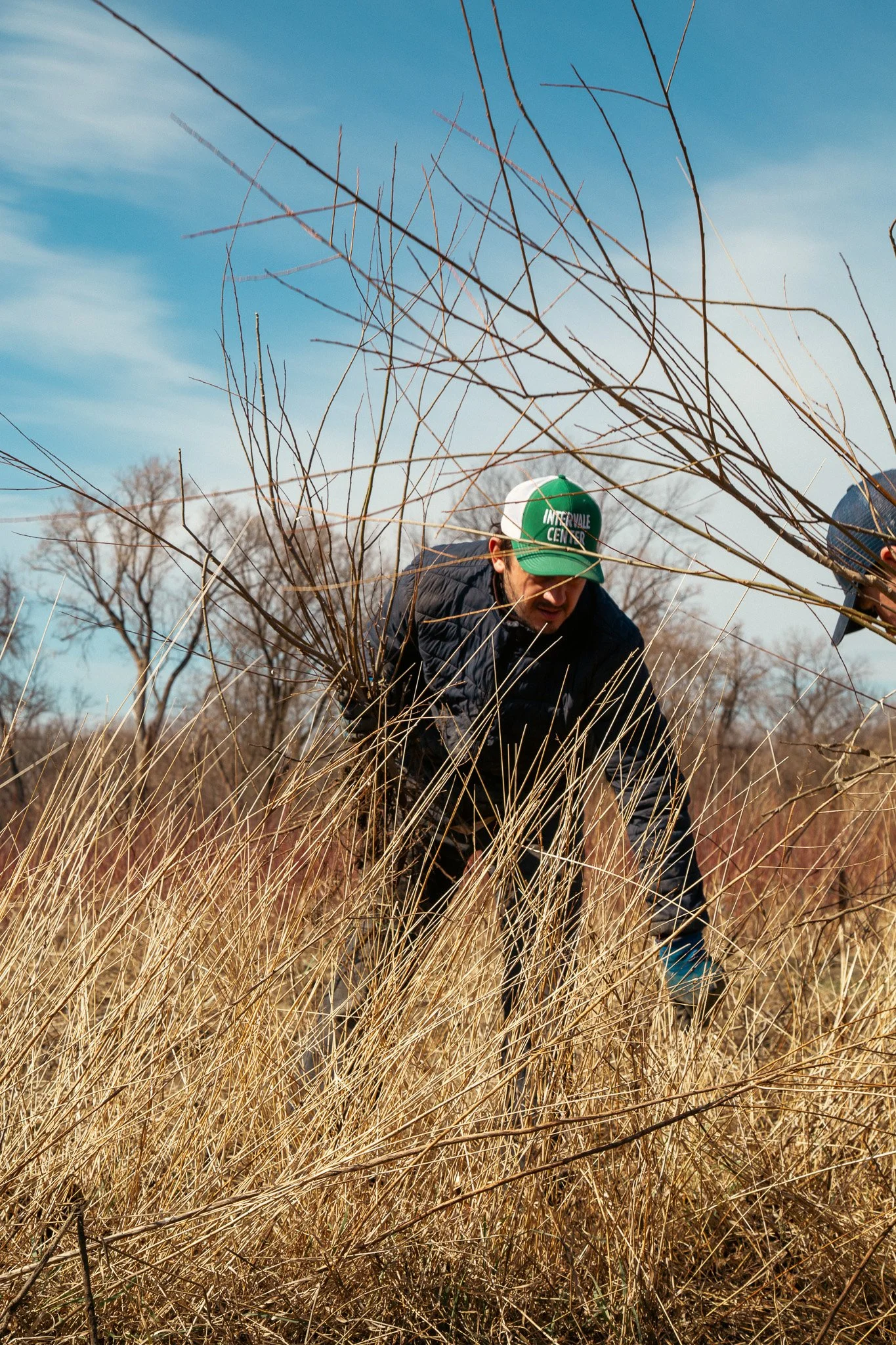 PRESS RELEASE: Tree Harvest 2026