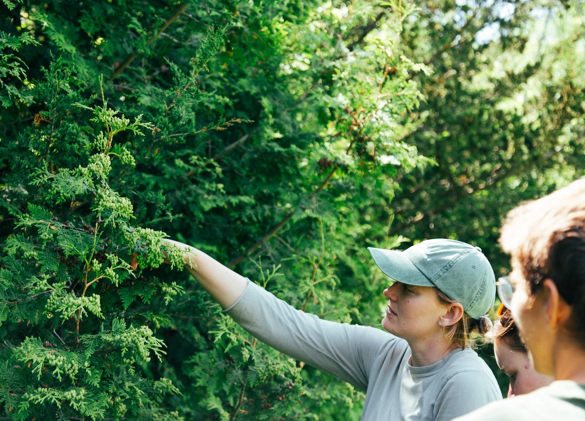 Riparian Lands Native Seed Partnership: May Newslettter