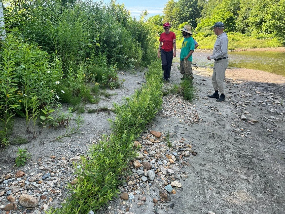 Stewarding Riparian Forests to Take Root and Thrive