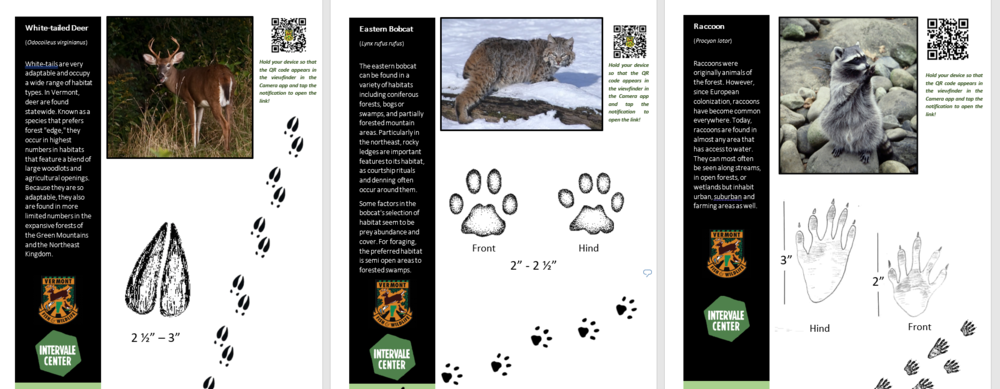 Love the Land with VT Fish & Wildlife — Intervale Center Love the Land with VT Fish & Wildlife — Intervale Center