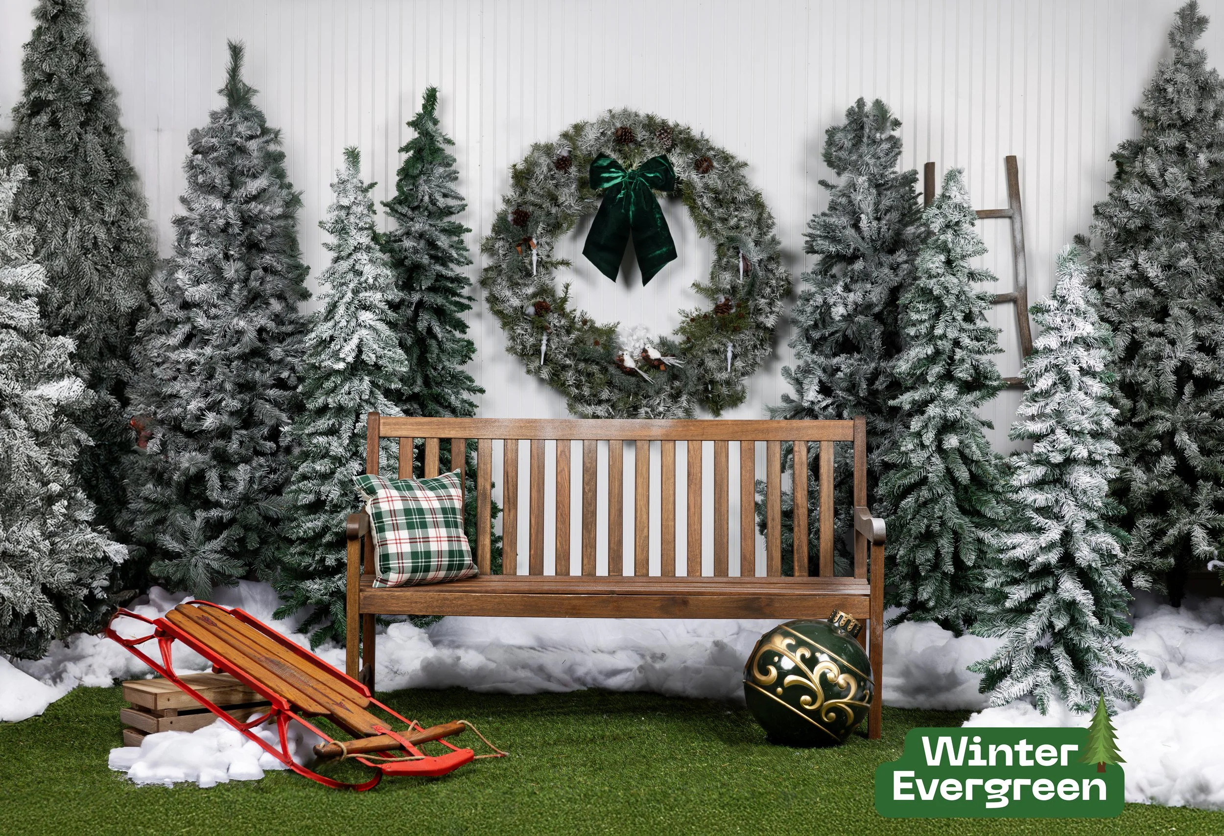 WINTEREVERGREEN2025.jpeg