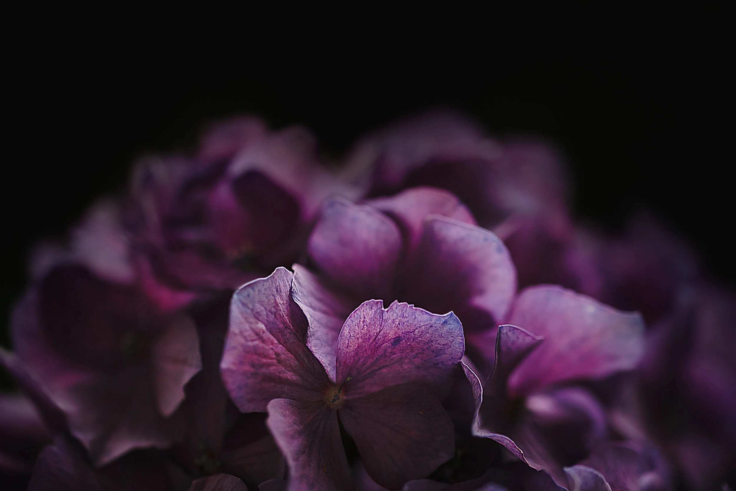 Aug7CD2018-4656-Edit.jpg