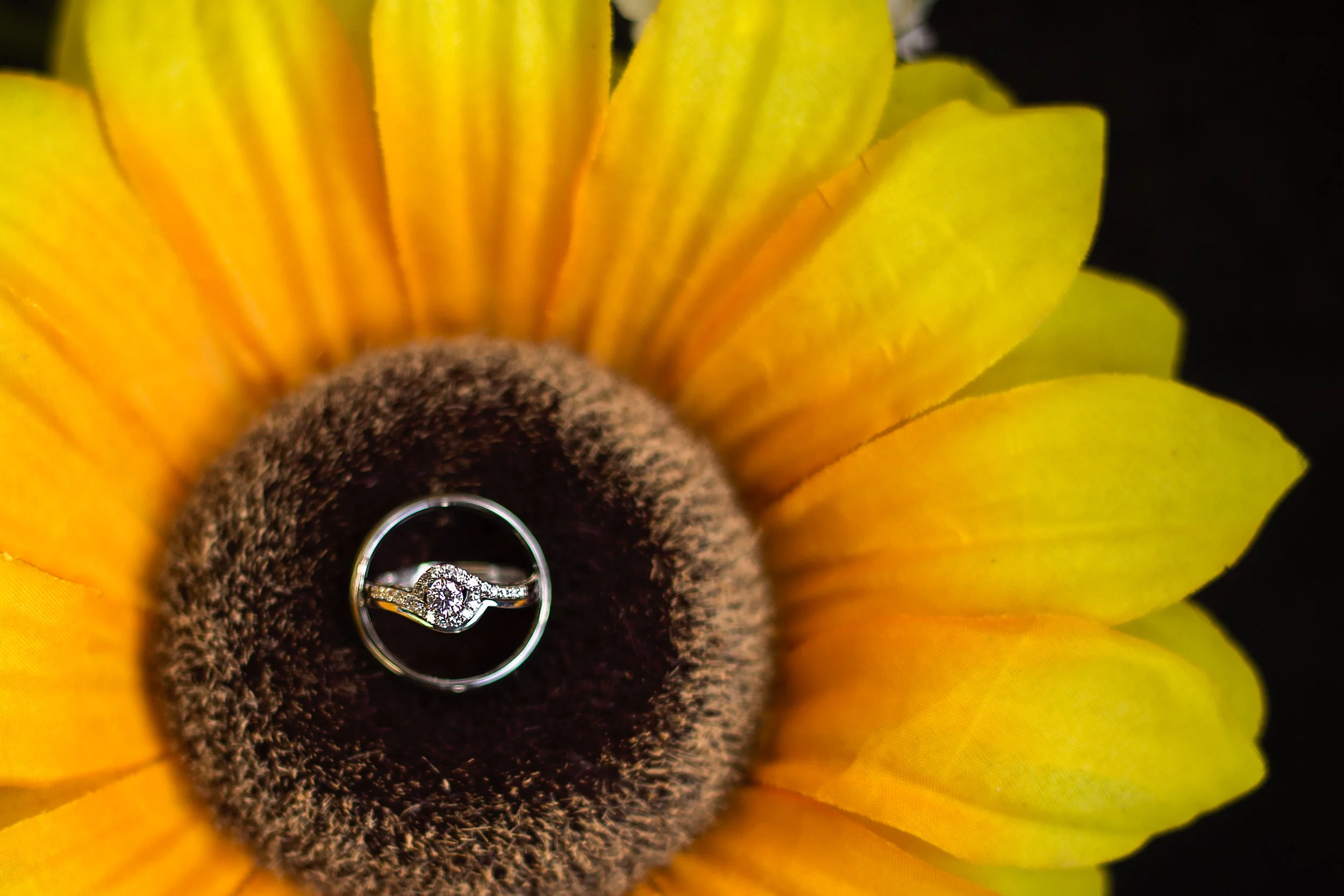 ecrop-CD_2015_2-68-Edit.jpg