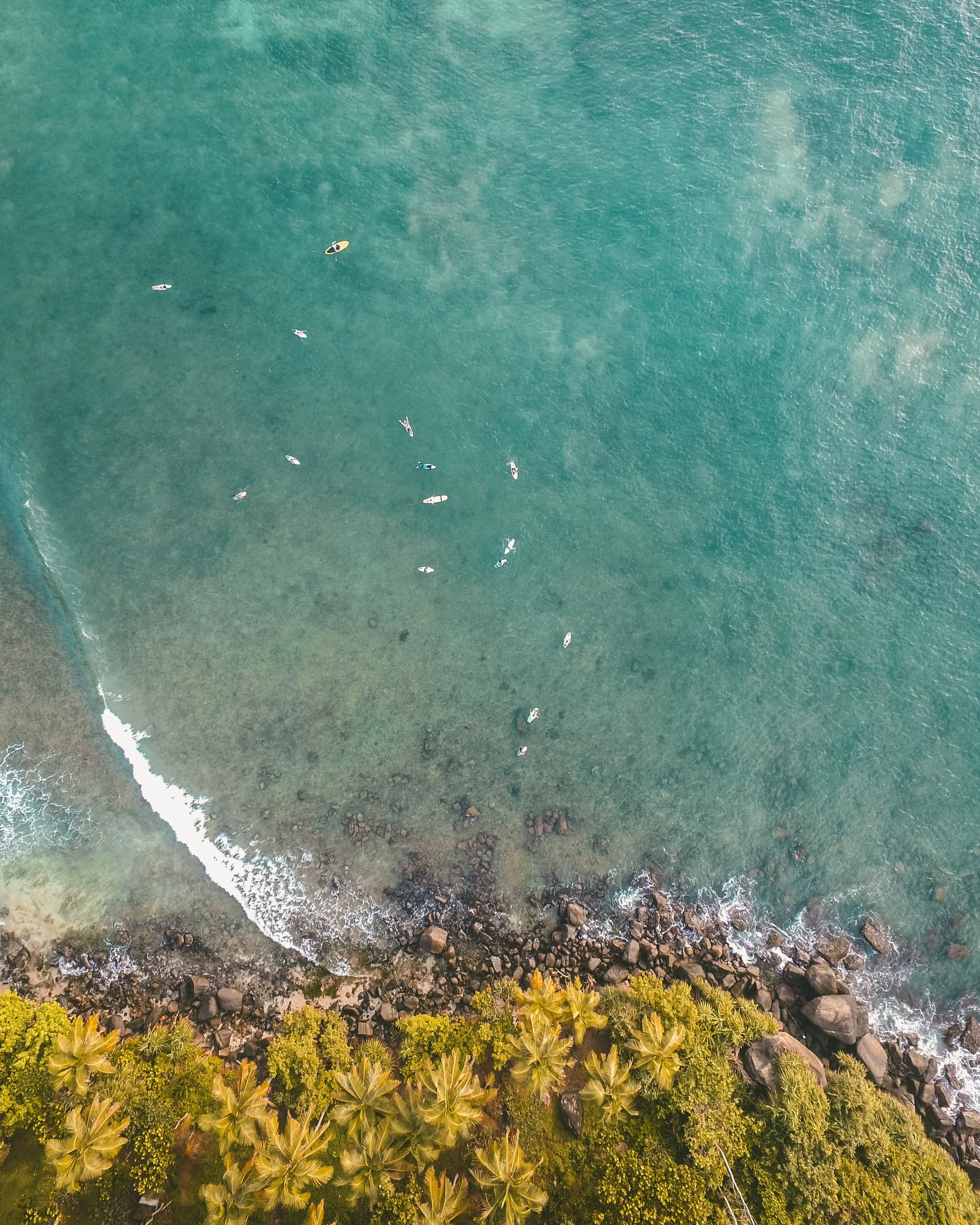 aerial-shot-aerial-view-beach-1078982.jpg