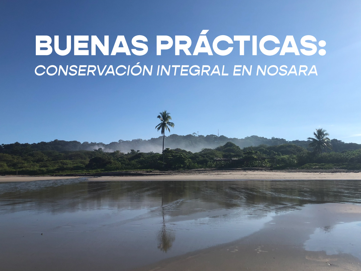Buenas prácticas: conservación integral en Nosara