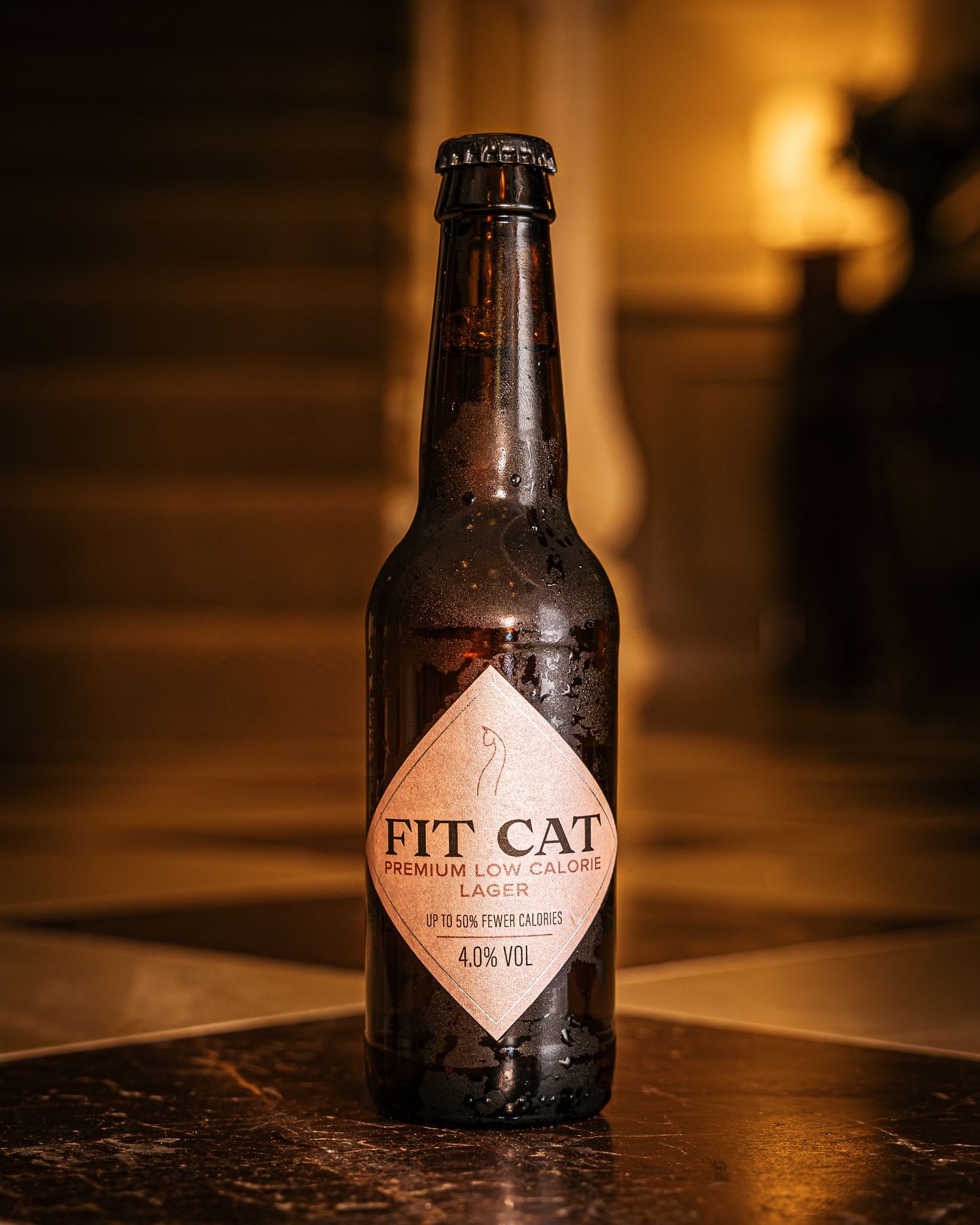 Fit_Cat_25-06-2026-100_websize.jpg