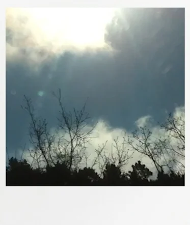 "He held me back in a lot of ways and I let myself be held back." - Anne#selfworth #kink