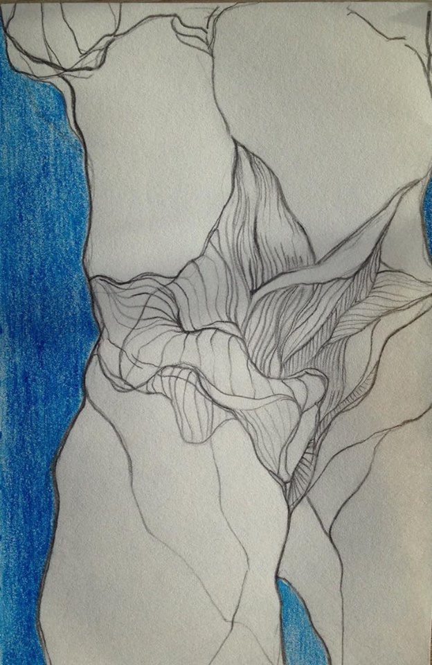 Artwork by Dana Chmielewska