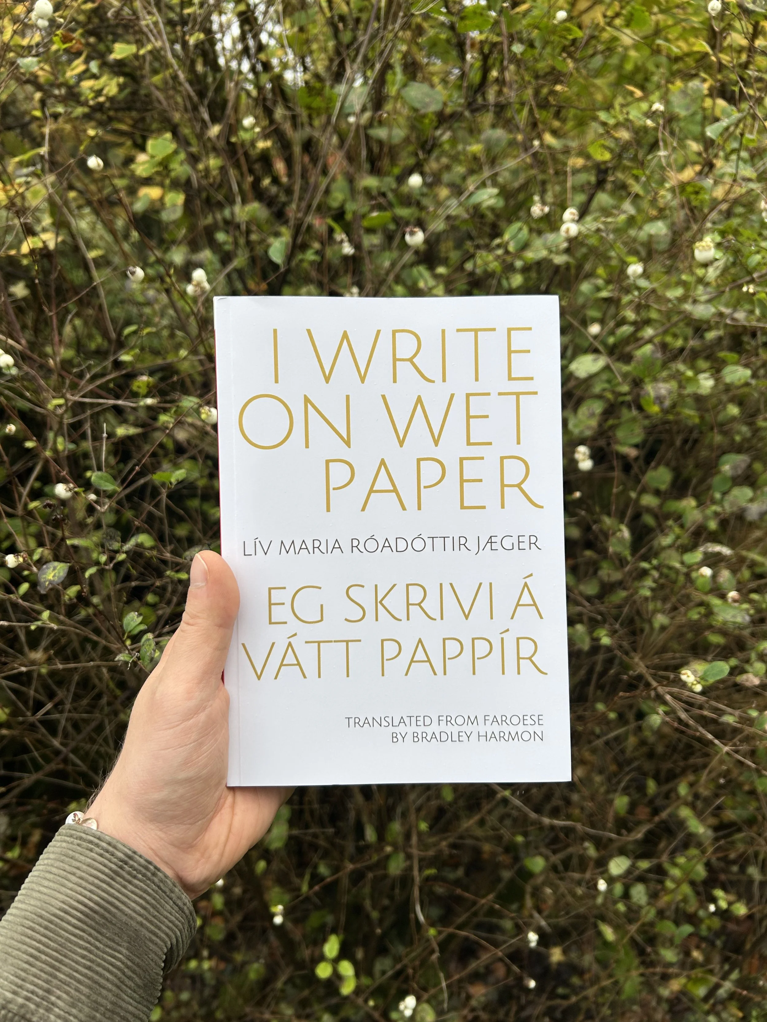 Lív Maria Róadóttir Jæger published in English