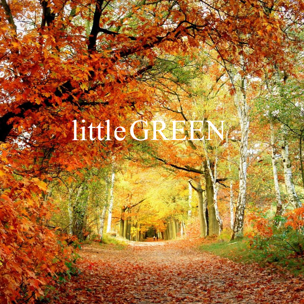 LittleGreen Background.png