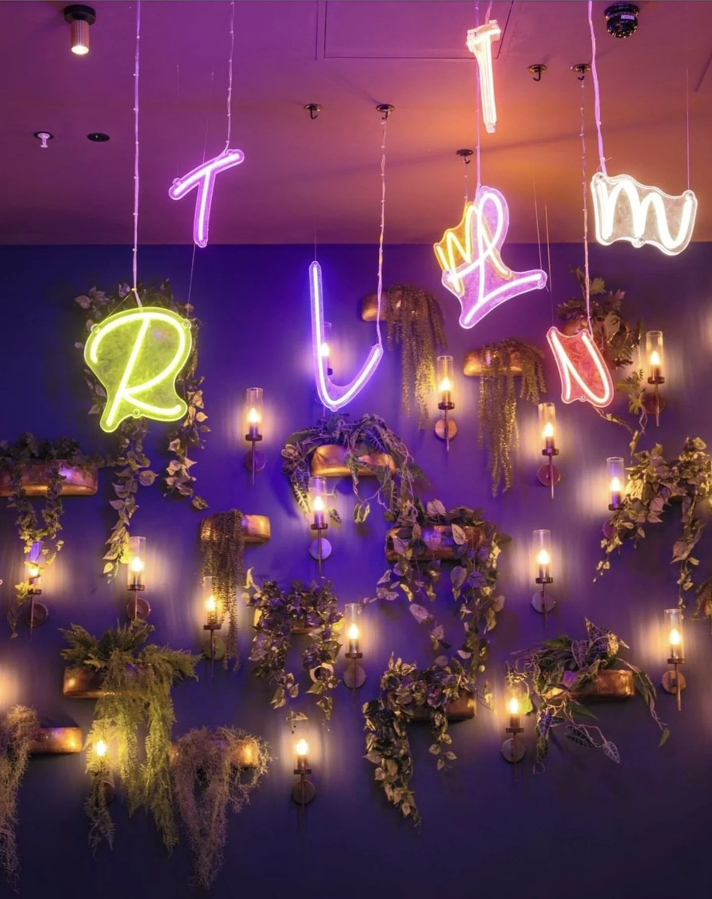 Bringing the greenery to @trilliumrestaurant 🌿🍃🌱

We delivered all the planting installations for their opening late last year &mdash; a great project with lots of texture, layers, and atmosphere🙌🏻✨🤩

#InteriorDesign #CommercialInteriors #Bioph