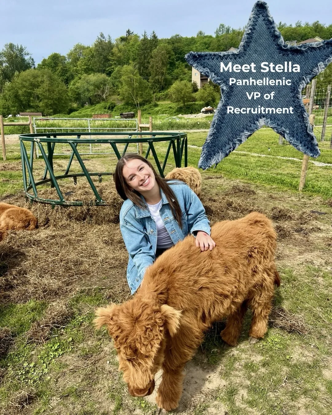 Meet the wonderful VP of Panhellenic recruitment, Stella Moore!!! 

For those interested in joining sorority life at Washington State University, Stella is a wonderful resource to follow! 

She is so excited to meet you all soon!🩷