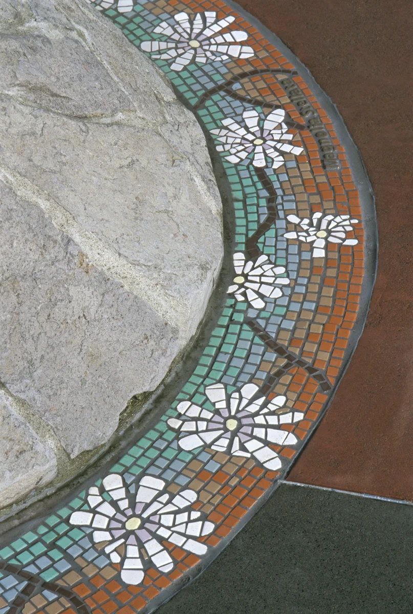 magnolia stellata detail