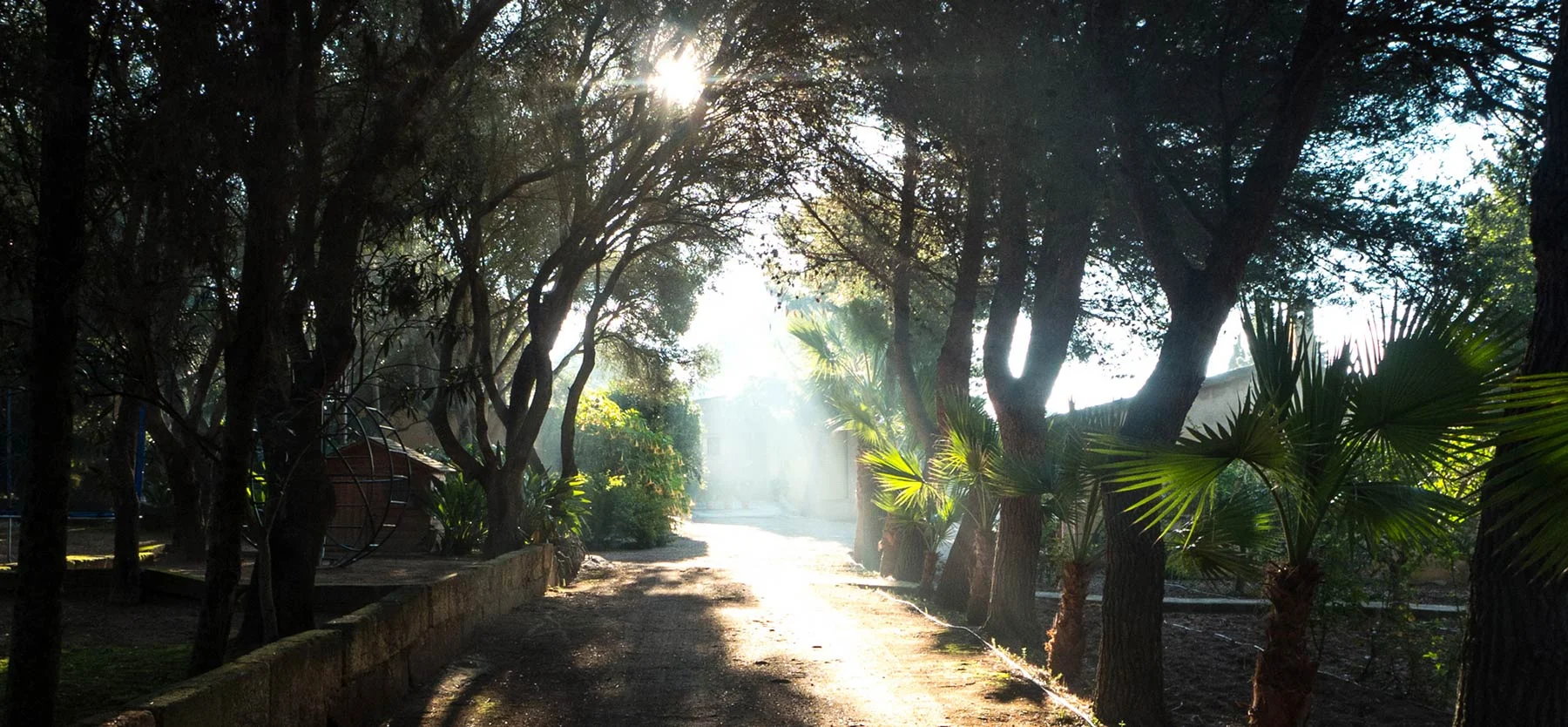 Felix-Eckardt_Mallorca_weg_zum_atelier_morgensonne.jpg