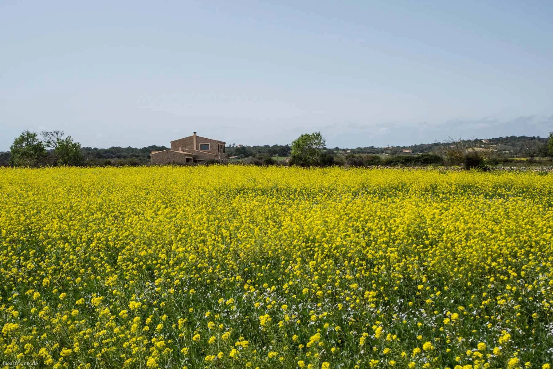 Felix-Eckardt_Mallorca_wiese.jpg