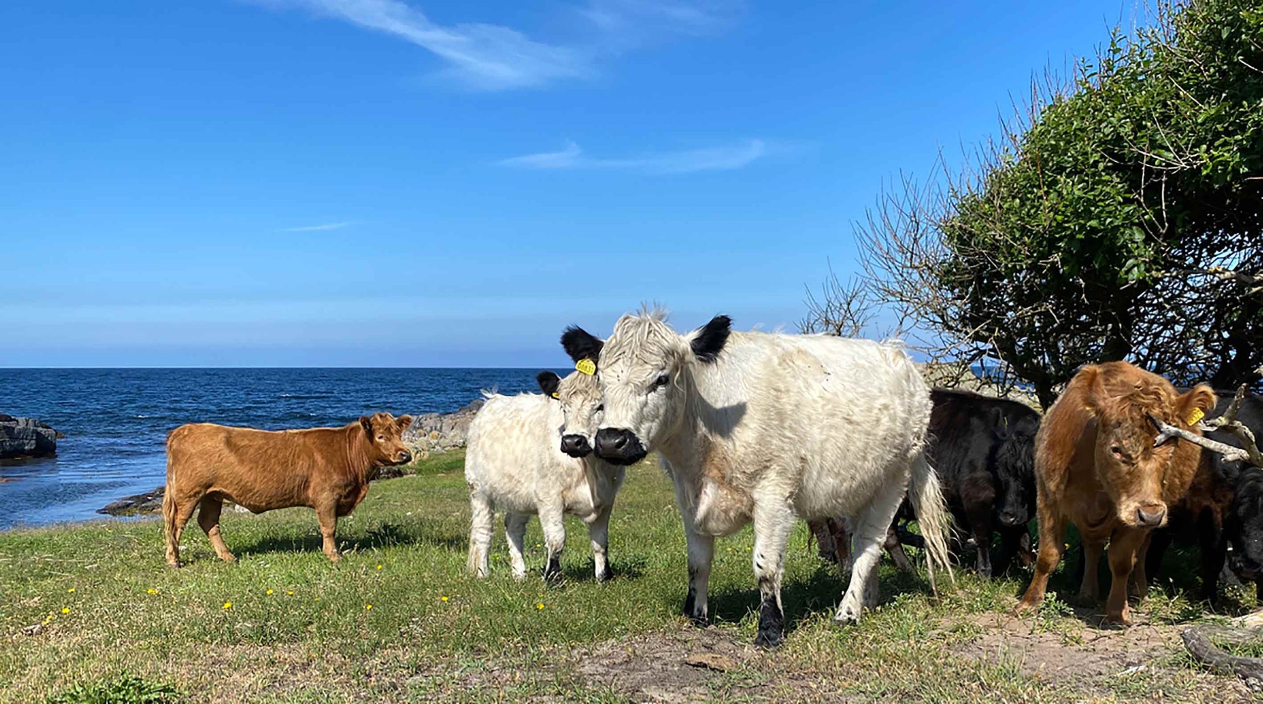 malreise-Bornholm.jpg