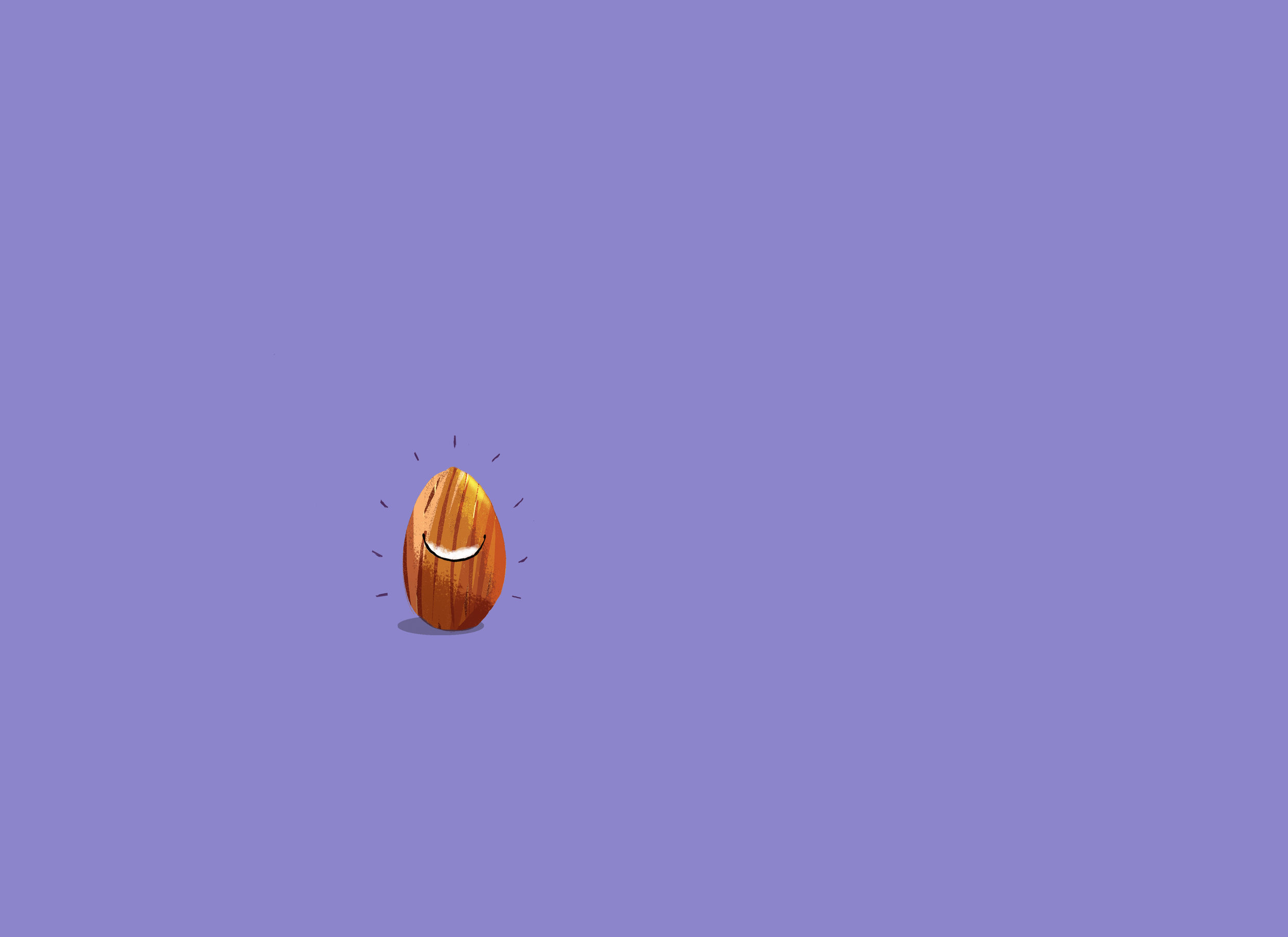 header4.jpg