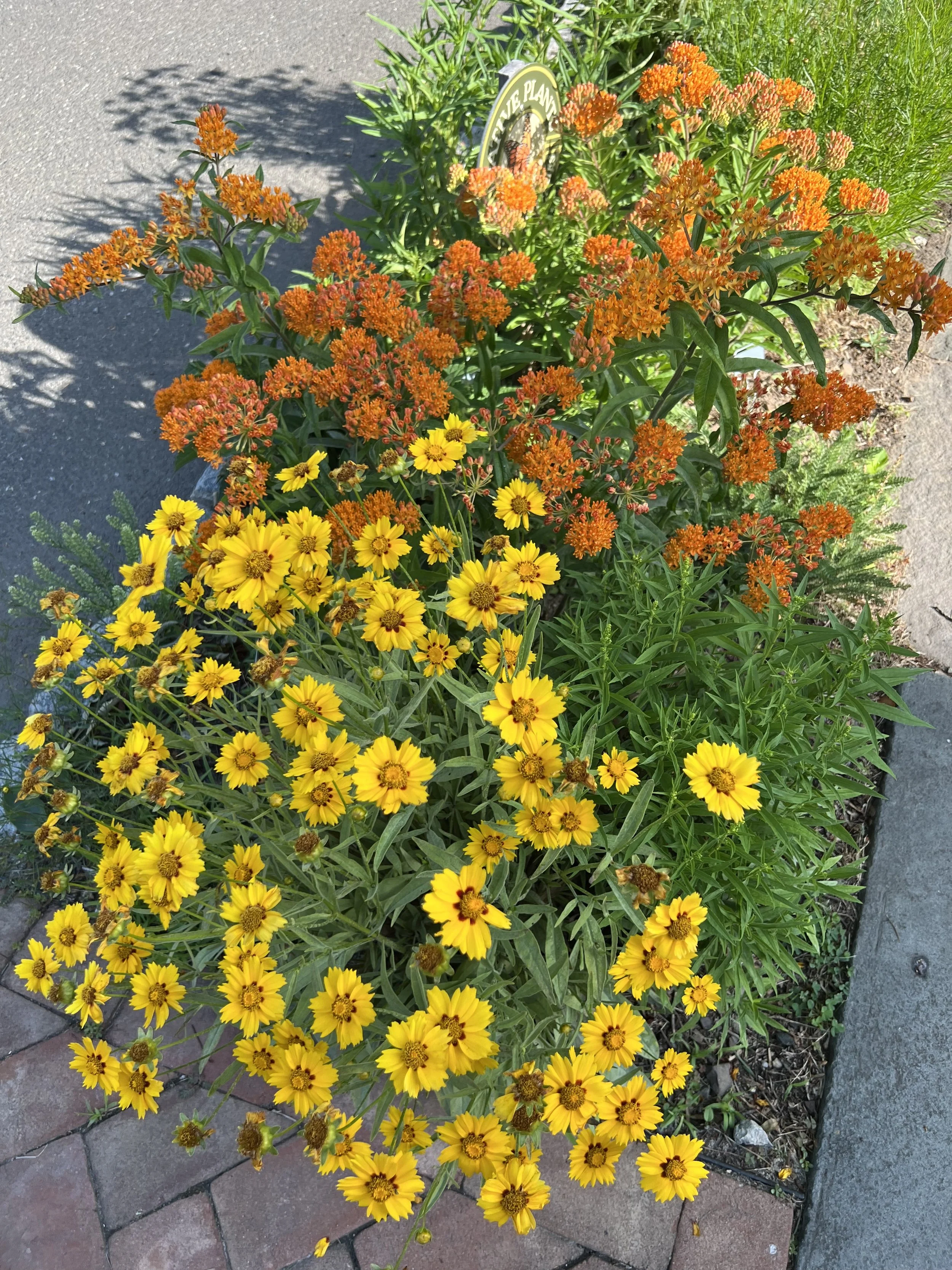 Learning Never Stops