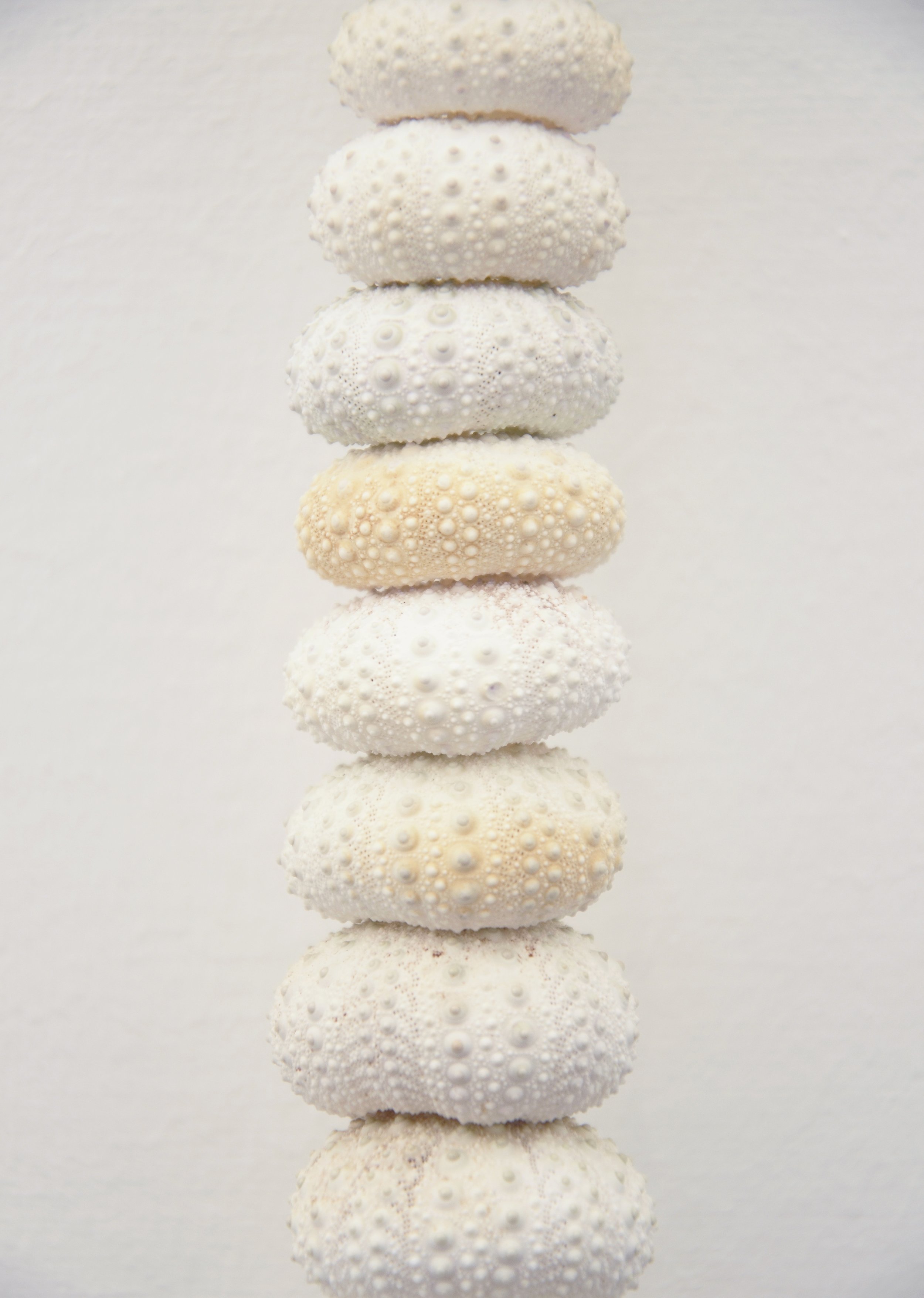 It Keeps My Heart and Soul in Its Place (Spine), 2015