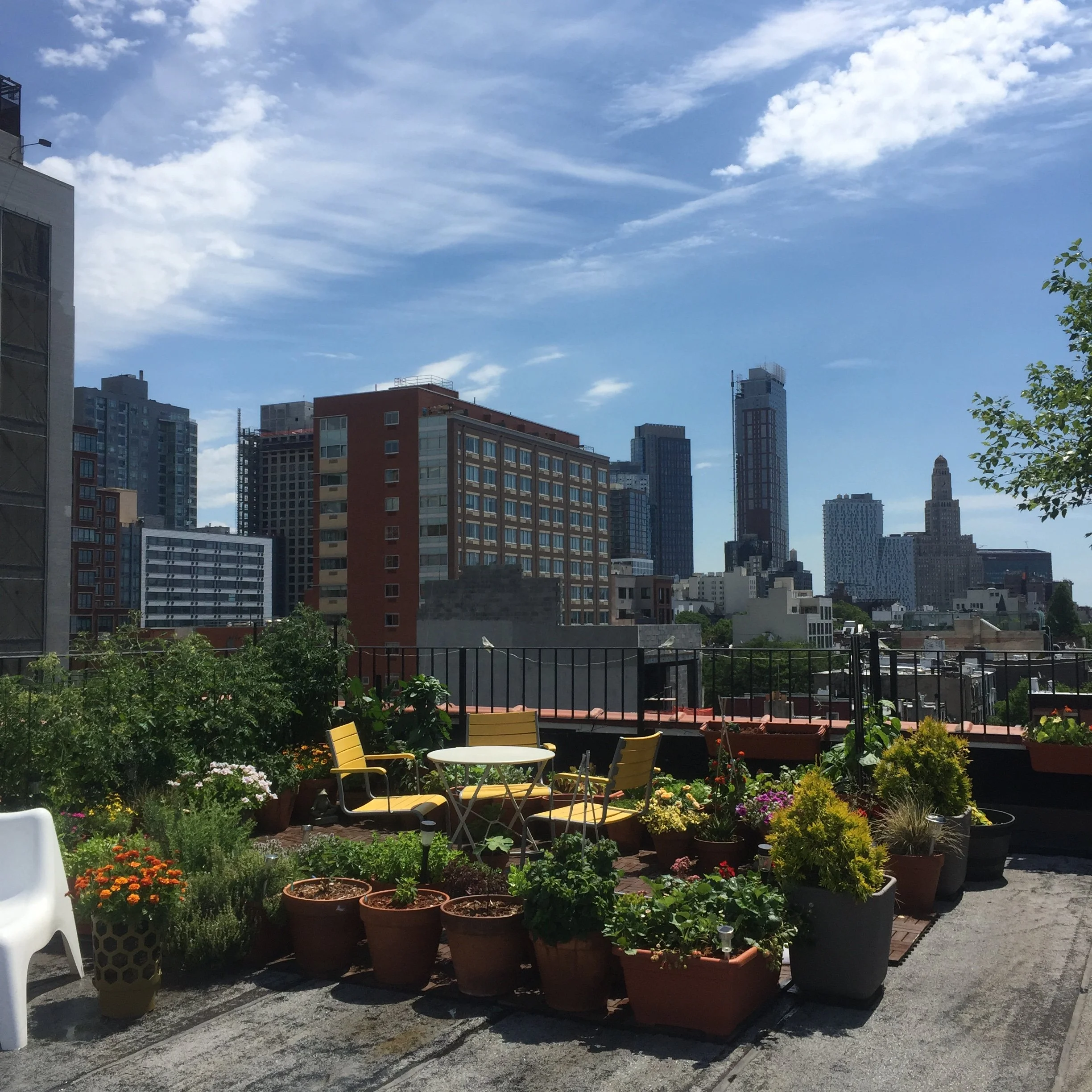 Rooftop Garden, 2019