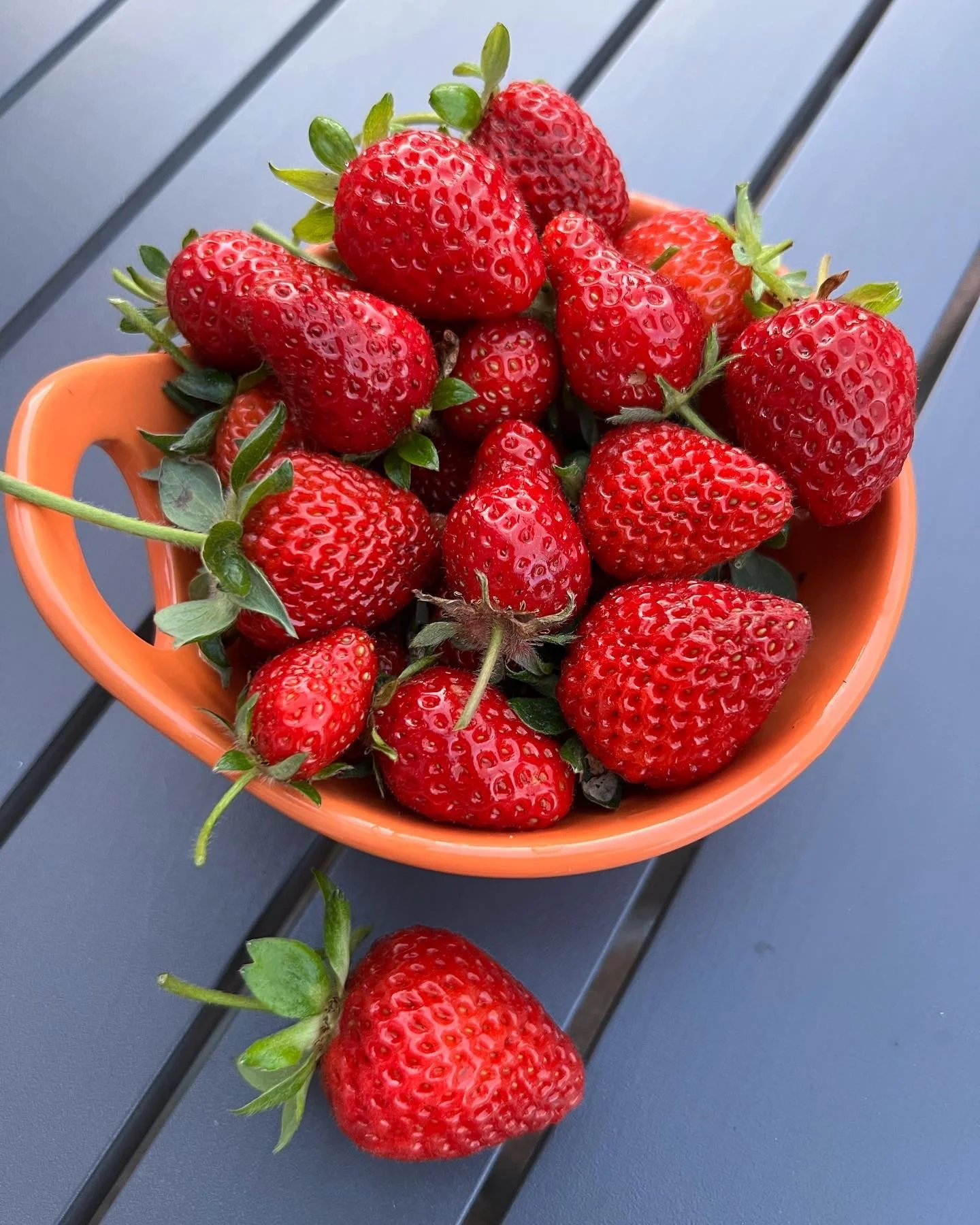 strawberrries 2022.jpg